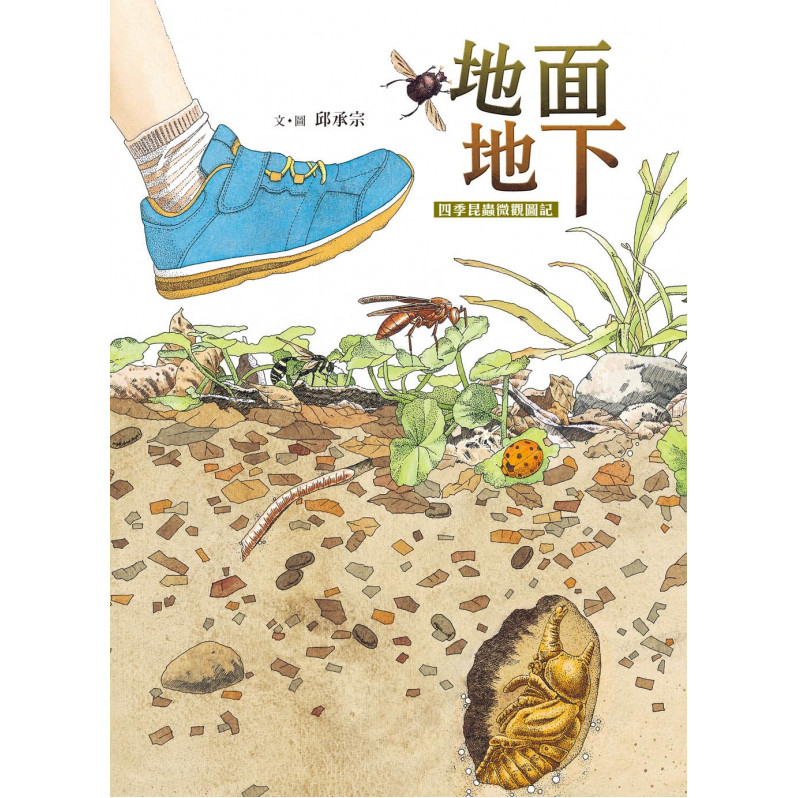 孩子的第一套生態觀察繪本集：《池上 池下》、《地面 地下》